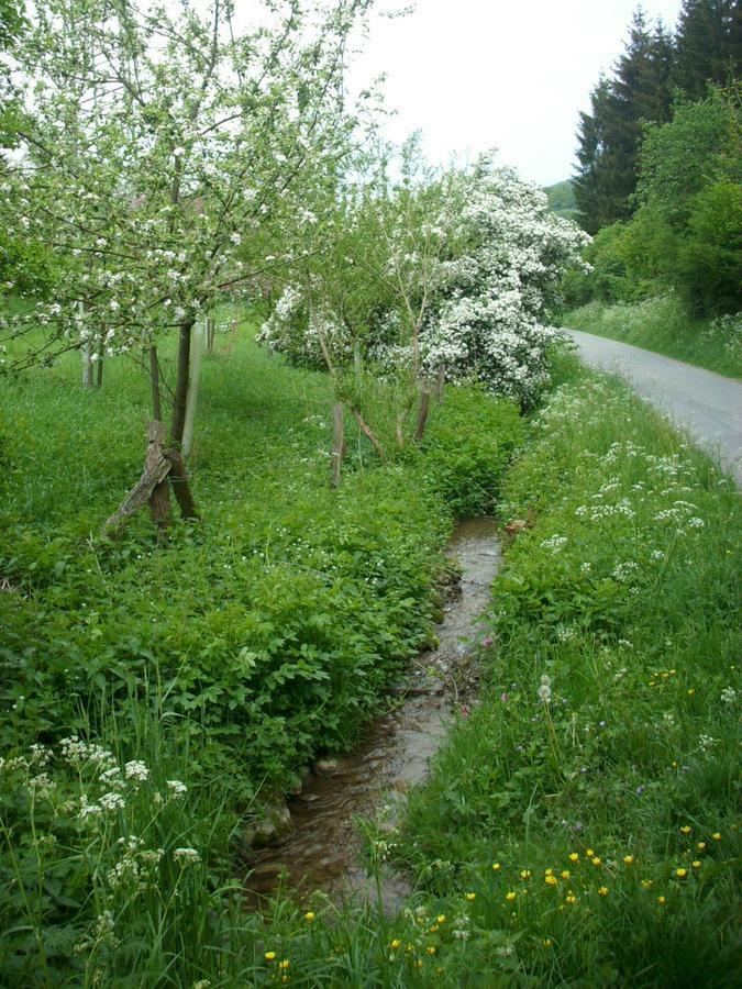 Gasthof Susewind Antfeld Eksteriør billede